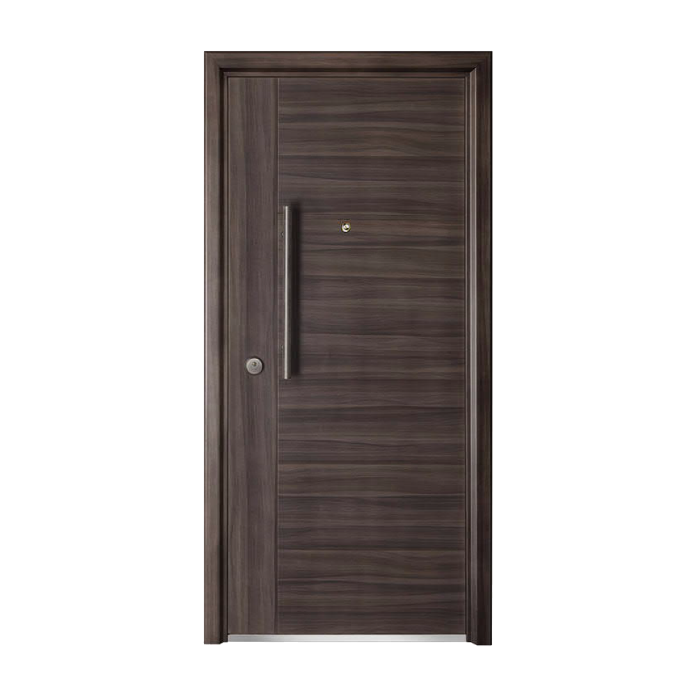 STEEL DOORSSD-307