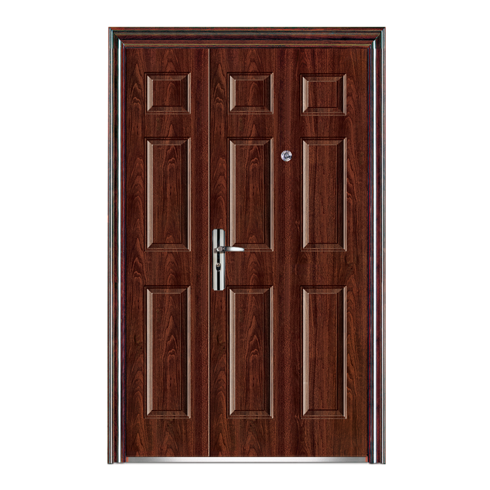 STEEL DOORSSD-6019