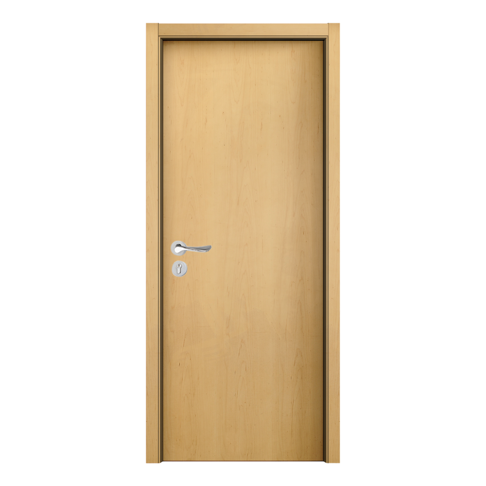 FLUSH WOOD DOORWD-1609
