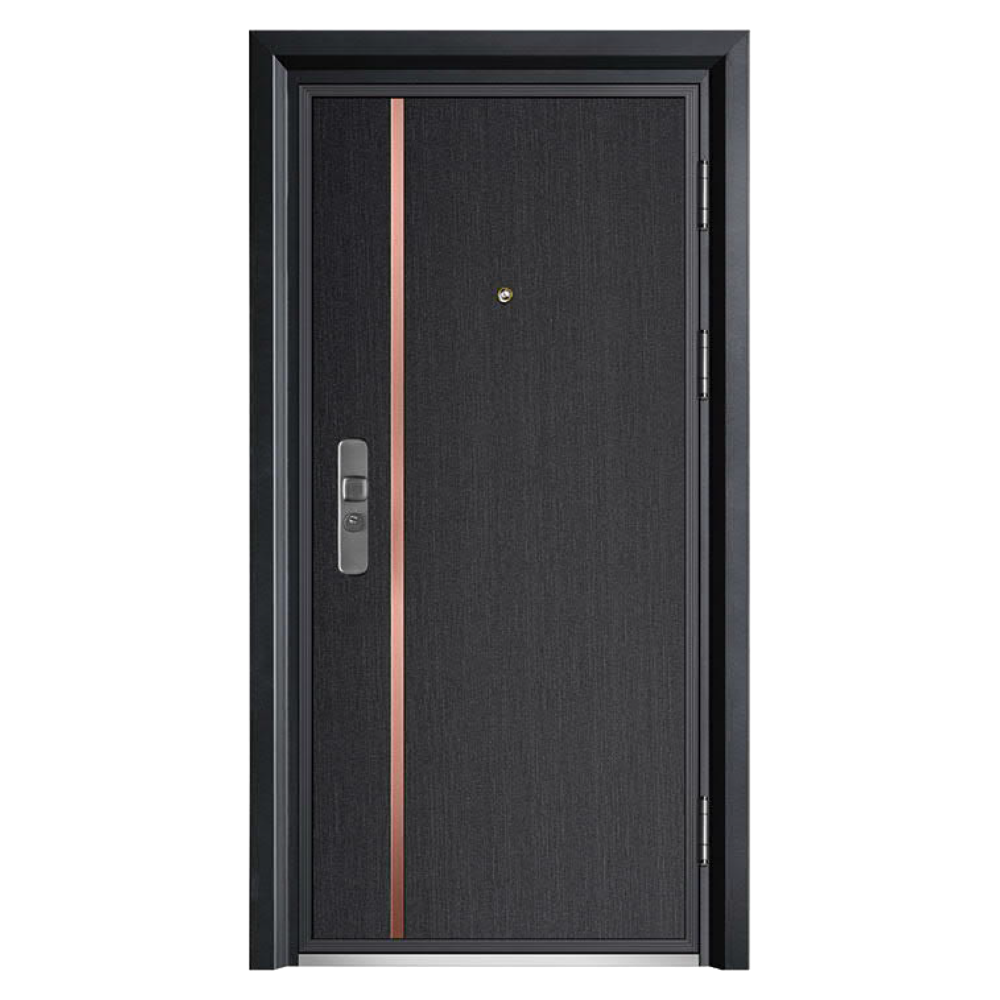 STEEL DOORSSD-802