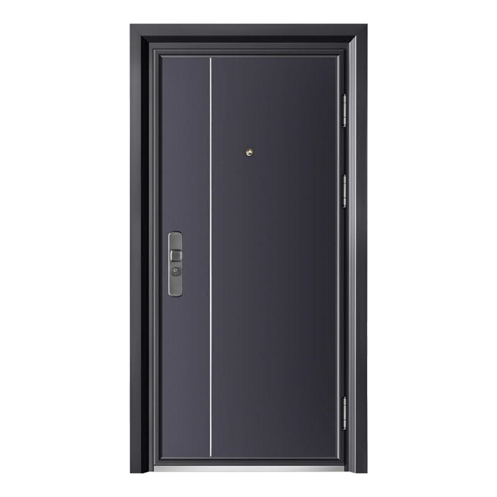 STEEL DOORSSD-806