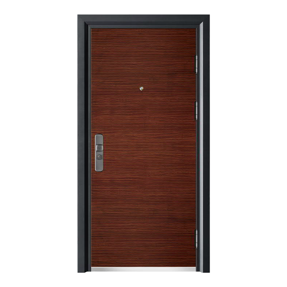 STEEL DOORSSD-807