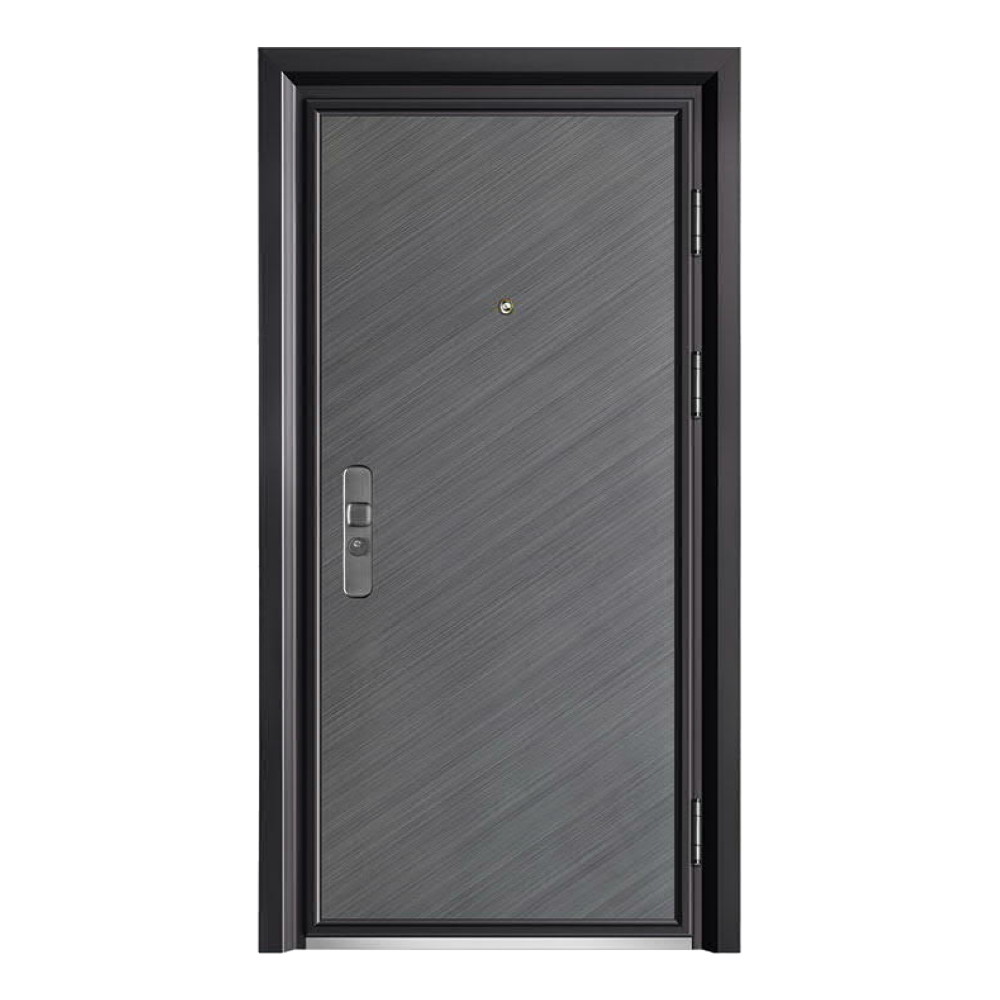 STEEL DOORSSD-805