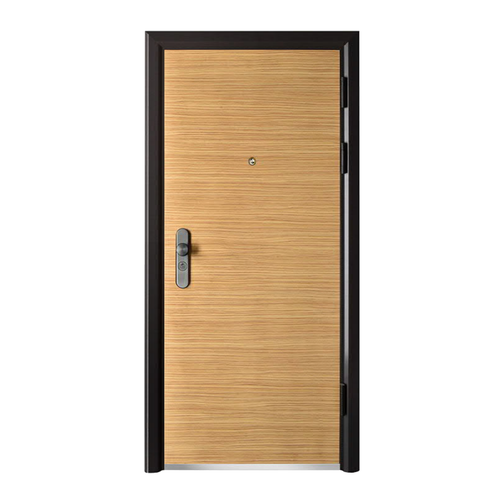 STEEL DOORSSD-310