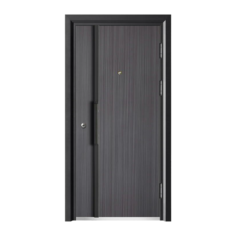 STEEL DOORSSD-809