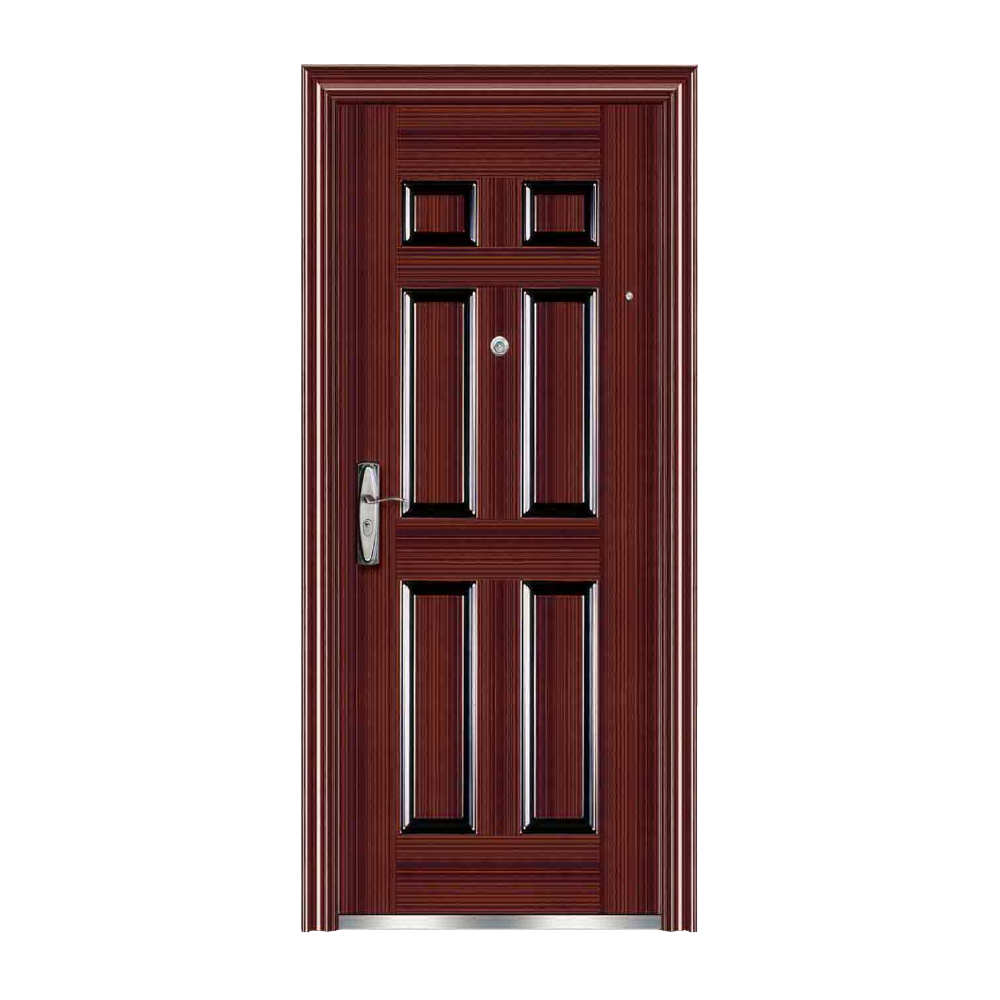 STEEL DOORSS6019