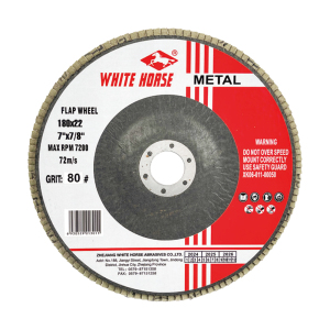 Flap Disc for Metal