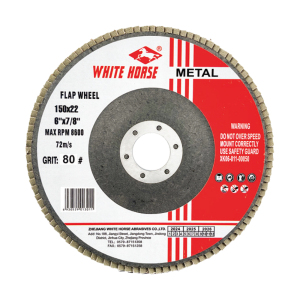 Flap Disc for Metal
