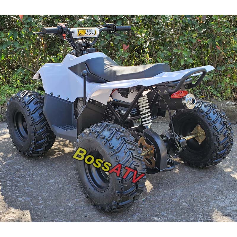 125cc New ATV BS110-1