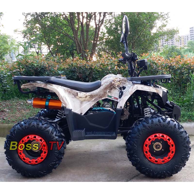 125cc New ATV BS110-8