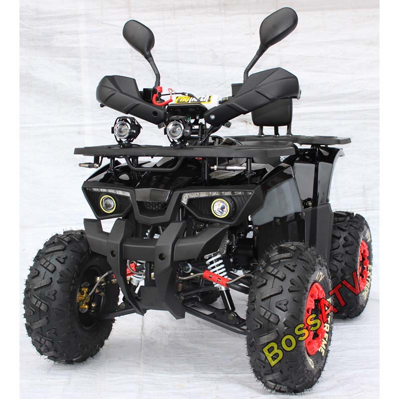 125cc New ATV BS110-8
