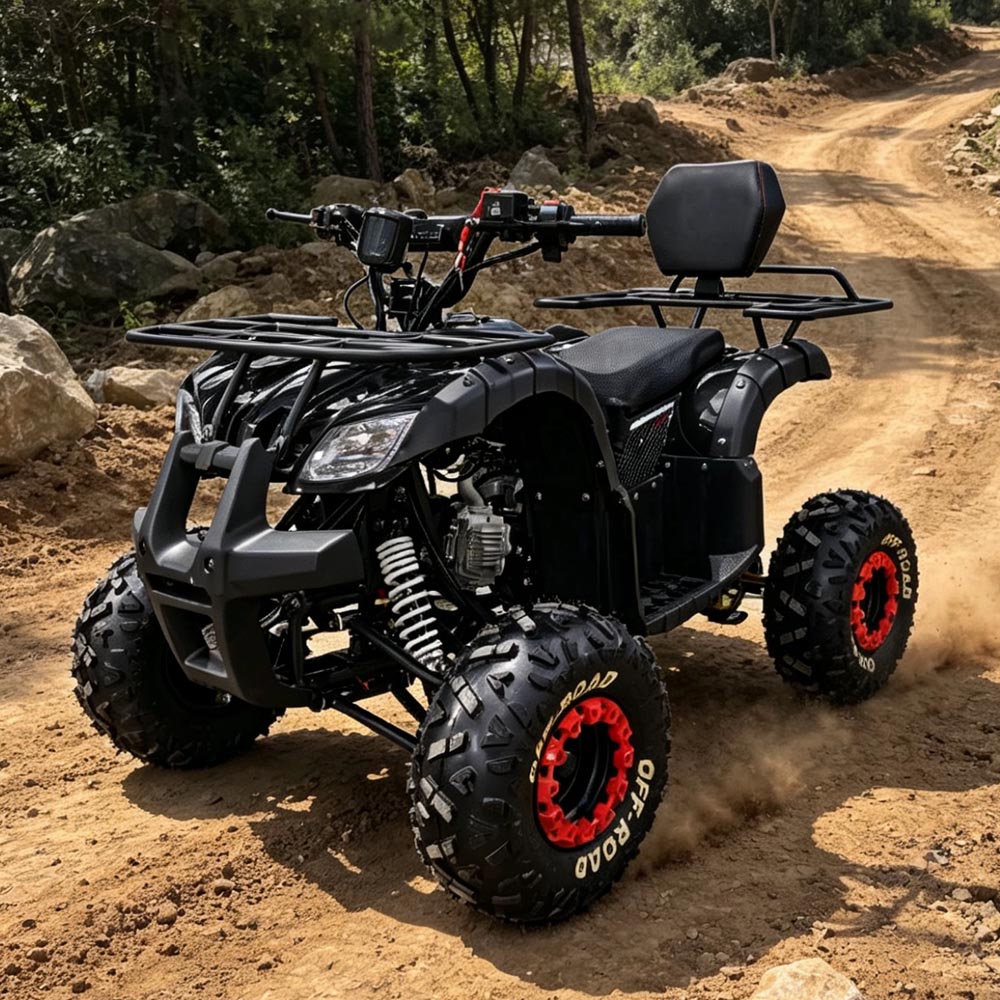 110cc 125cc ATV BS110-7