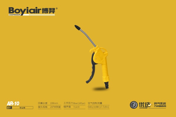 Air Gun AR-10