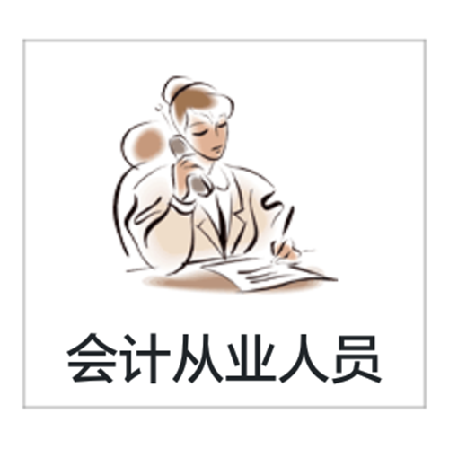 会计从业人员 会计从业人员