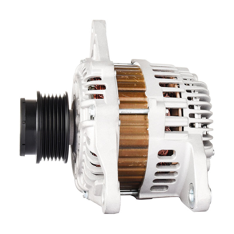 MI196 12V/100A--sameMI327