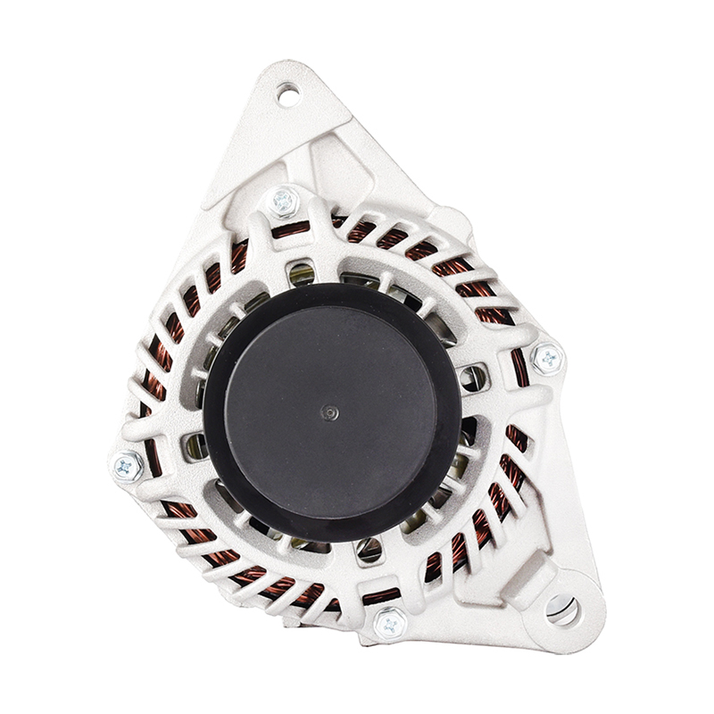 MI196 12V/100A--sameMI327