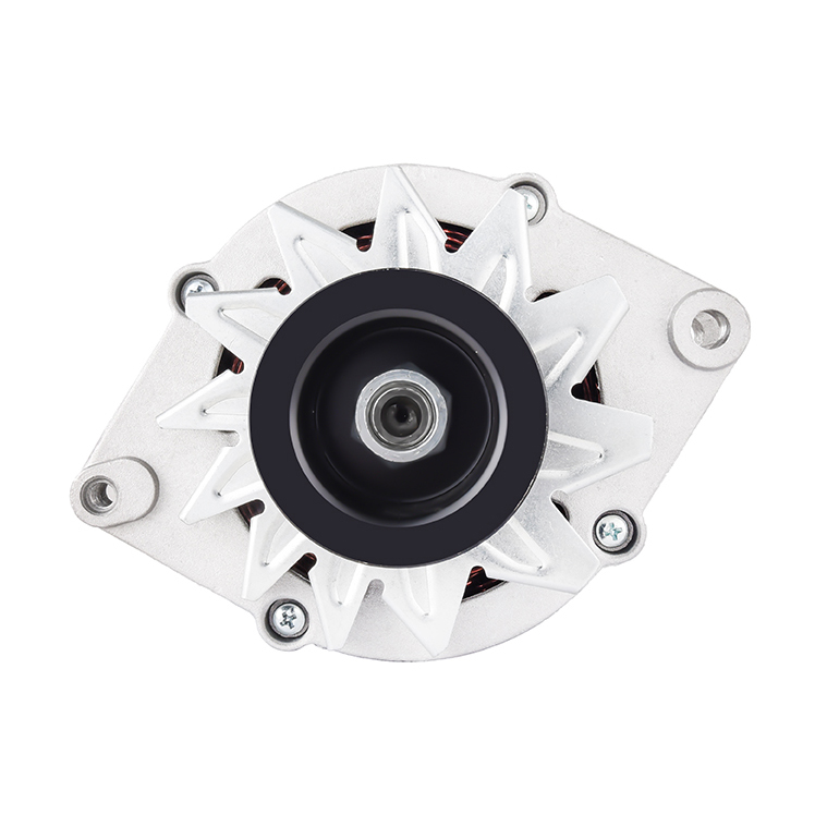 B0191 12V/65A /8PK61