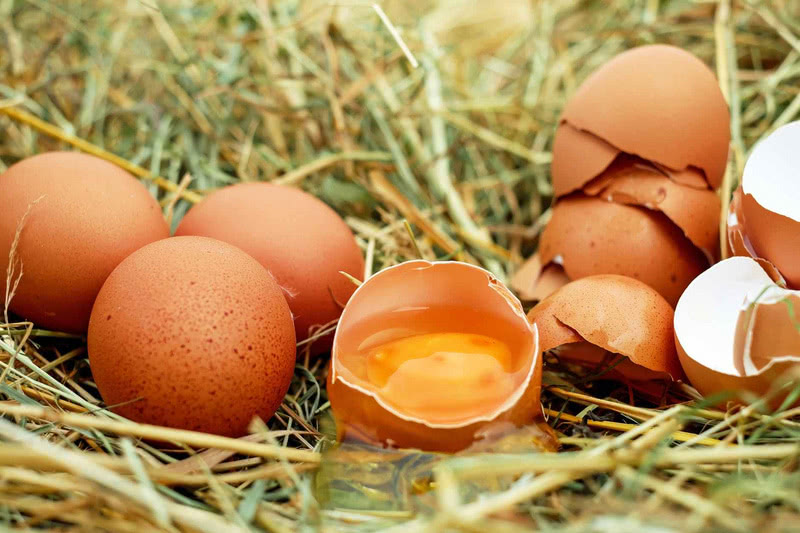 以蛋品供应链整合切入生鲜市场，龙龙蛋获500万元天使轮融资
