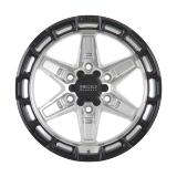 NEGU 11