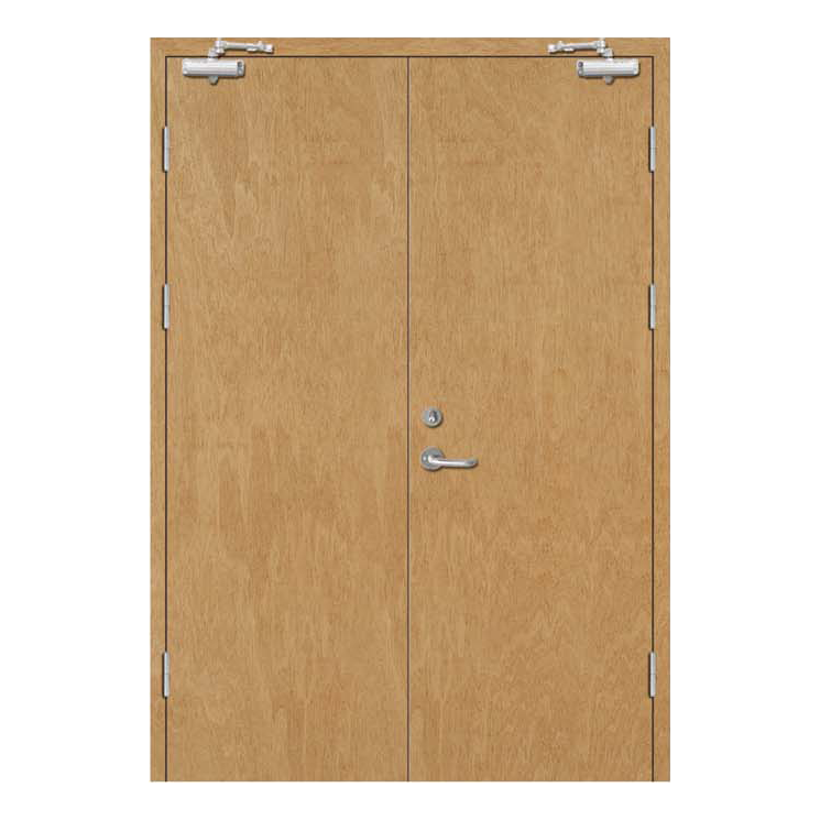 木质防火门 DW-MFM-9001