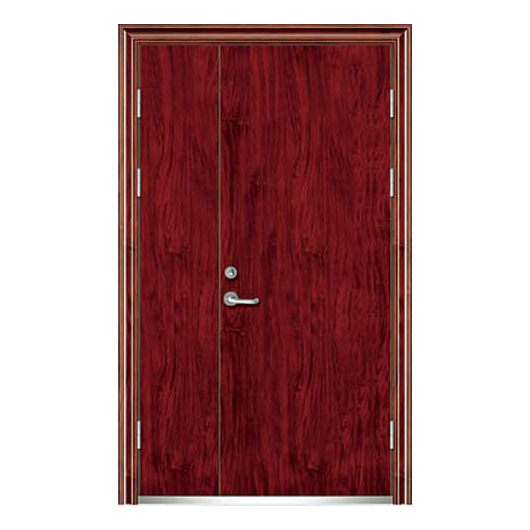 钢木质防火门 DW-GMFM-6009