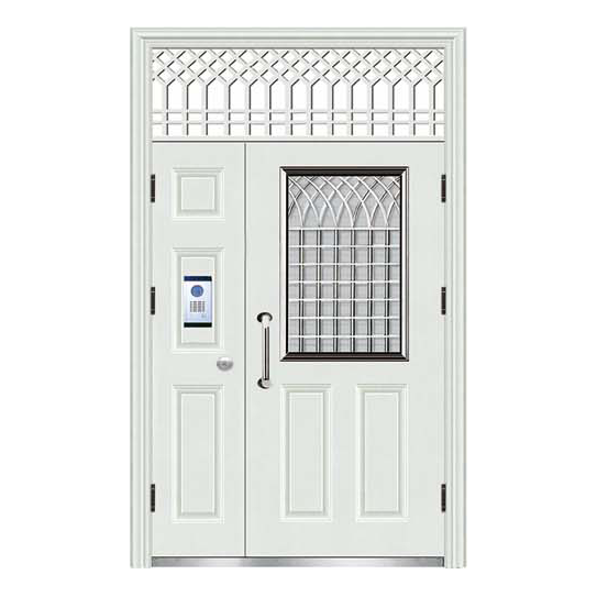 钢质防盗门 DW-FDM-7009