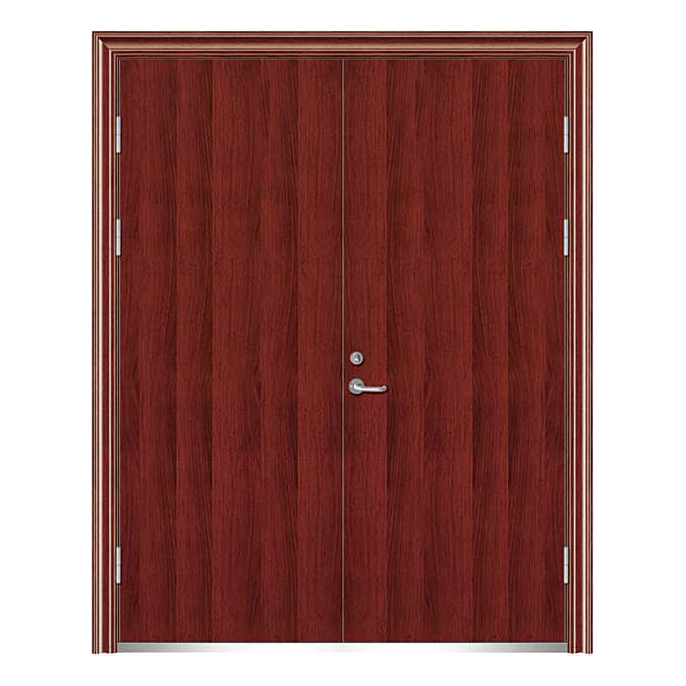 钢木质防火门 DW-GMFM-6007
