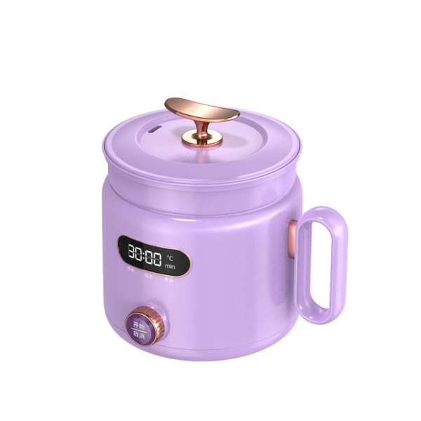 Multi-functional Cooker FH-1001