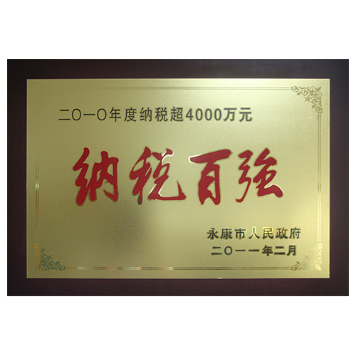 2010年度纳税百强