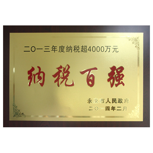 2013年度纳税百强