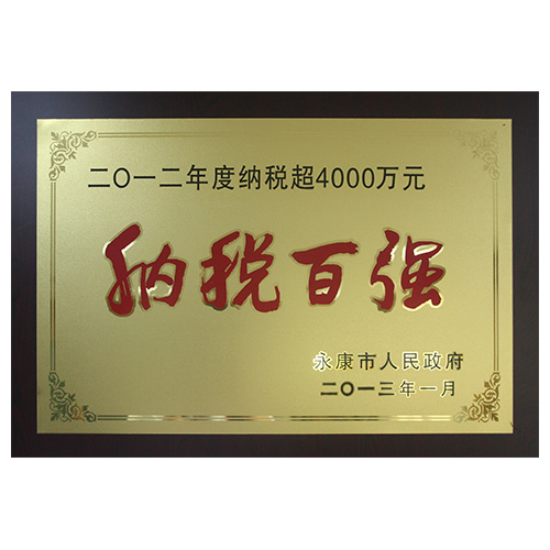 2012年度纳税百强