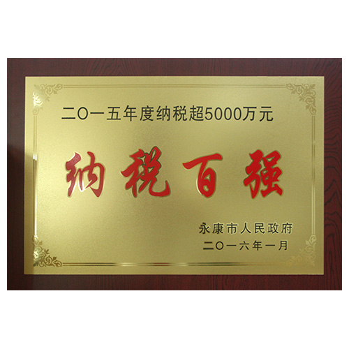 2015年度纳税百强