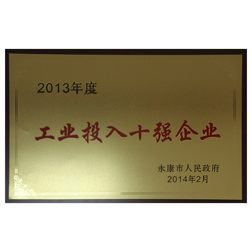 2013年度工业投入十强企业