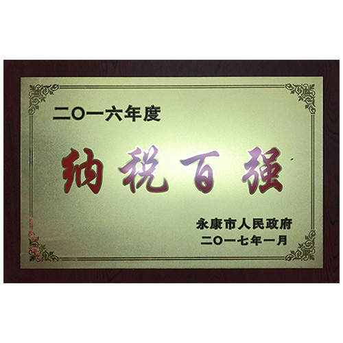 2016年度纳税百强