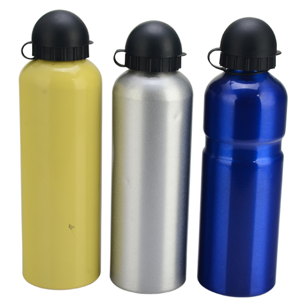 win win aluminium bottle ASP-750B