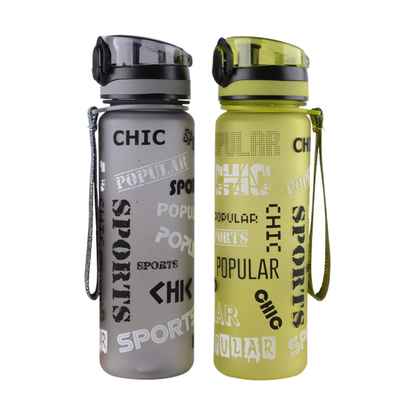 2020 new products 500ML-PC-BOTTLE