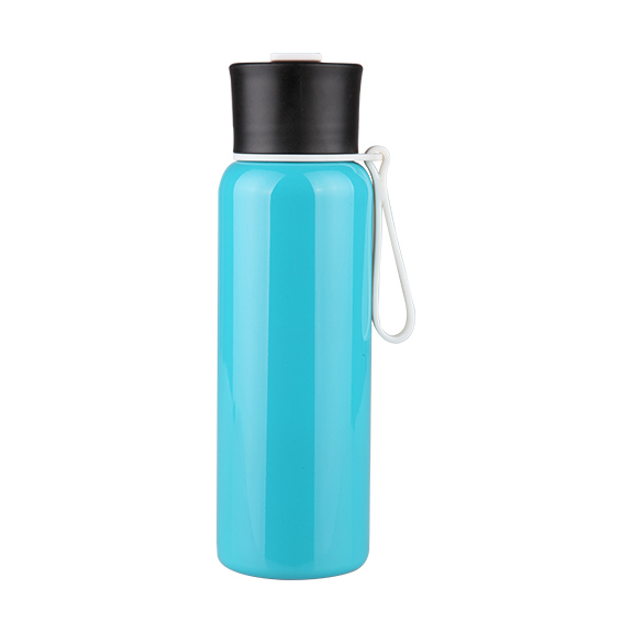 Stainless Steel Bottle / Classic S242