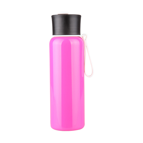 Stainless Steel Bottle / Classic S242