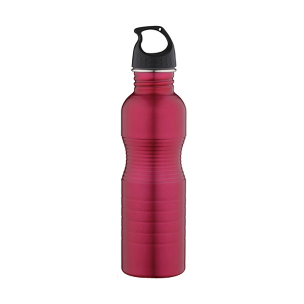 Stainless Steel Bottle / Classic S207