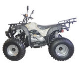SHATV-016