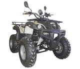 SHATV-016