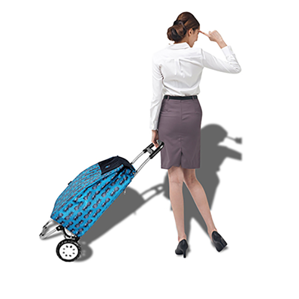 Shopping Trolley 