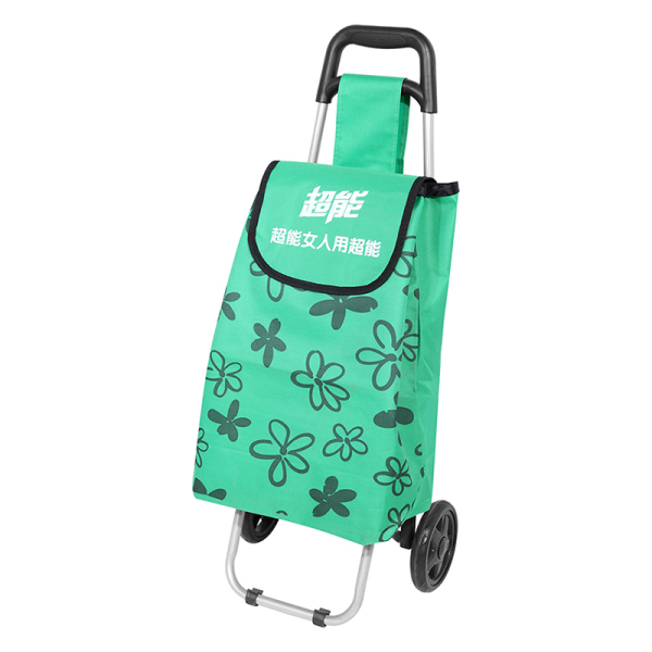 Shopping Trolley 