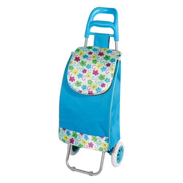 Shopping Trolley 