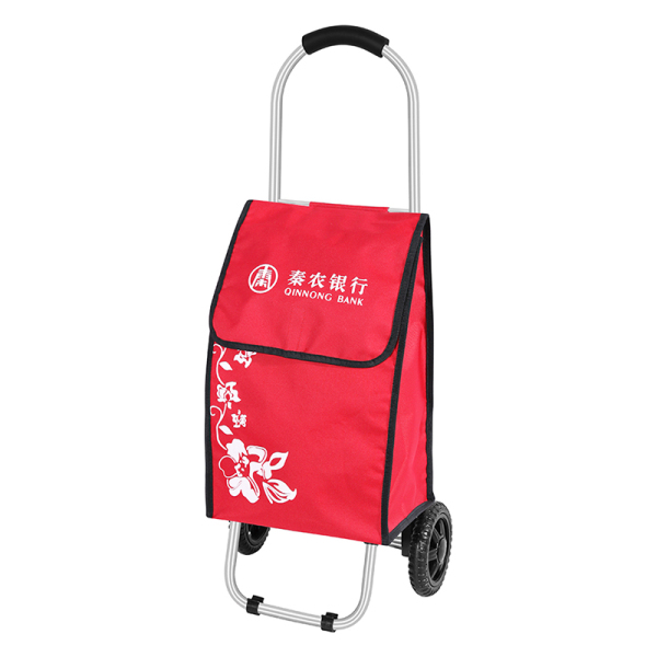 Shopping Trolley 