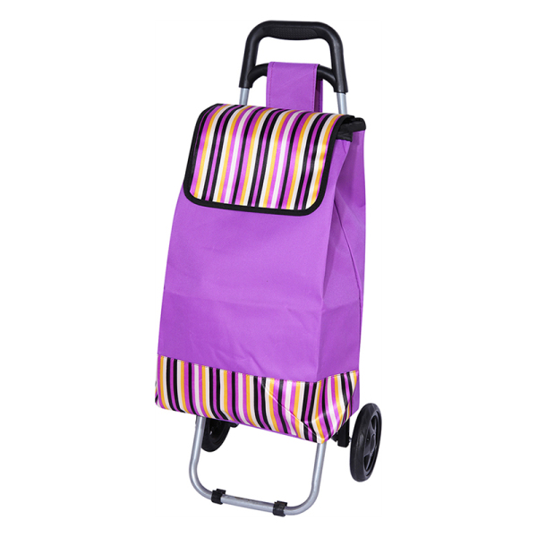 Shopping Trolley 