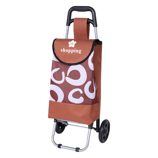 Shopping Trolley 