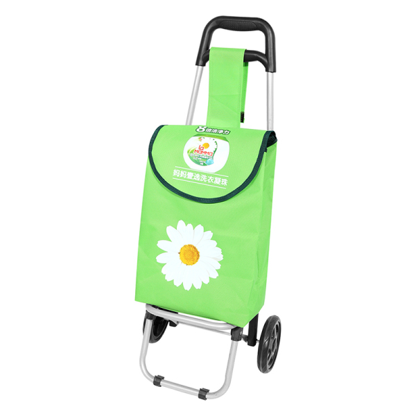 Shopping Trolley 