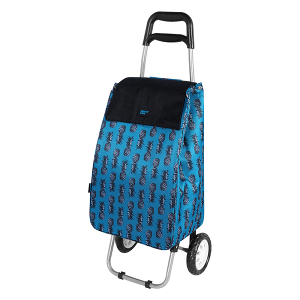 Shopping Trolley 