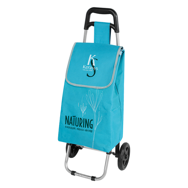 Shopping Trolley 